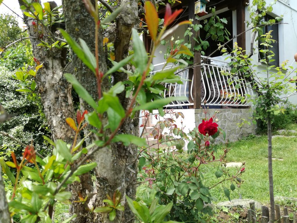 Guest House Fanny Sinemoretz Extérieur photo