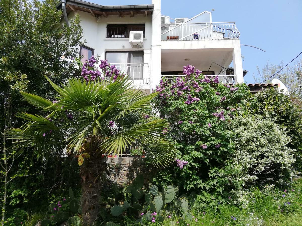 Guest House Fanny Sinemoretz Extérieur photo